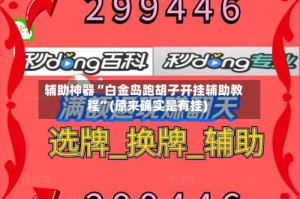 辅助神器“白金岛跑胡子开挂辅助教程”(原来确实是有挂)