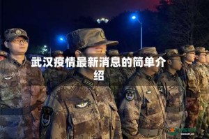 武汉疫情最新消息的简单介绍