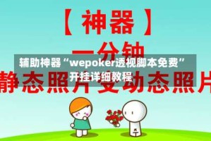 辅助神器“wepoker透视脚本免费”开挂详细教程