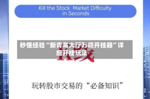 秒懂经验“新青鸟大厅万能开挂器”详细开挂玩法