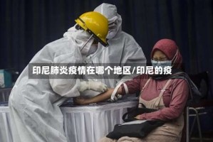 印尼肺炎疫情在哪个地区/印尼的疫