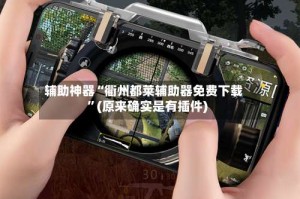 辅助神器“衢州都莱辅助器免费下载”(原来确实是有插件)