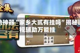 辅助神器“家乡大贰有挂吗”揭秘透视辅助万能挂