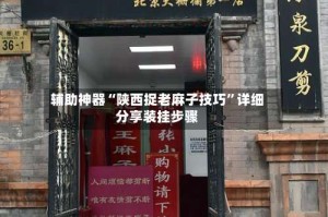 辅助神器“陕西捉老麻子技巧”详细分享装挂步骤