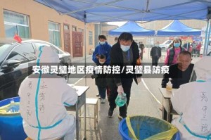 安徽灵璧地区疫情防控/灵璧县防疫
