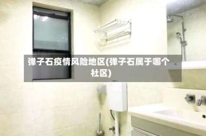 弹子石疫情风险地区(弹子石属于哪个社区)