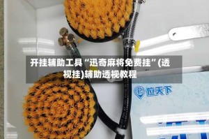 开挂辅助工具“迅奇麻将免费挂”(透视挂)辅助透视教程