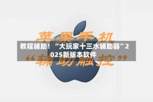 教程辅助！“大玩家十三水辅助器”2025新版本软件