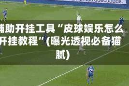 辅助开挂工具“皮球娱乐怎么开挂教程”(曝光透视必备猫腻)