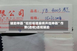 辅助神器“旺旺福建麻将开挂神器”作弊(透视)透视辅助