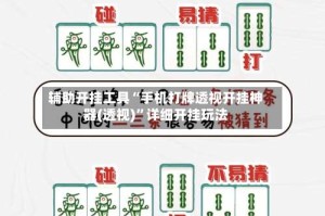 辅助开挂工具“手机打牌透视开挂神器(透视)”详细开挂玩法