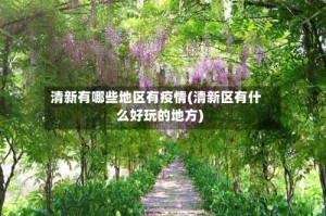 清新有哪些地区有疫情(清新区有什么好玩的地方)