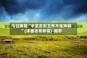今日教程“中至吉安王炸开挂神器”(详细透视教程)-知乎
