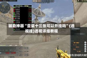 辅助神器“壹柒十三张可以开挂吗”(透视挂)透视详细教程