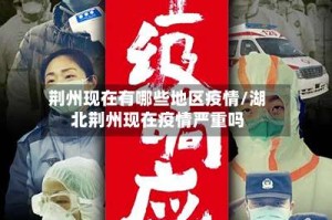 荆州现在有哪些地区疫情/湖北荆州现在疫情严重吗