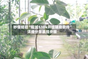 秒懂经验“榕城510k开挂辅助软件”详细分享装挂步骤