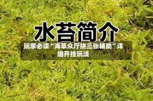 玩家必读“海草众厅拼三张辅助”详细开挂玩法