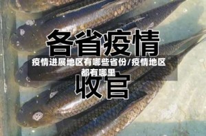 疫情进展地区有哪些省份/疫情地区都有哪里