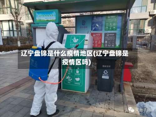 辽宁盘锦是什么疫情地区(辽宁盘锦是疫情区吗)-第2张图片