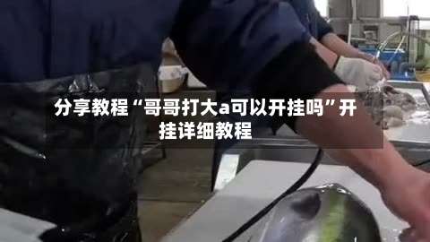 分享教程“哥哥打大a可以开挂吗”开挂详细教程-第1张图片