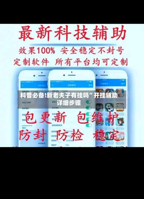 科普必备!新老夫子有挂吗”开挂辅助详细步骤-第3张图片