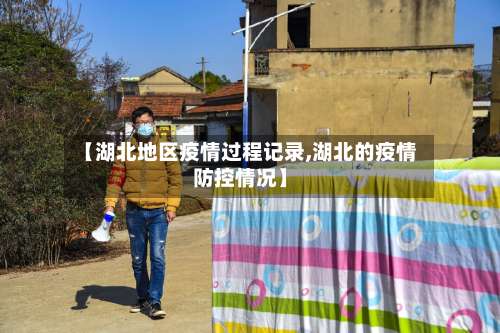 【湖北地区疫情过程记录,湖北的疫情防控情况】-第3张图片