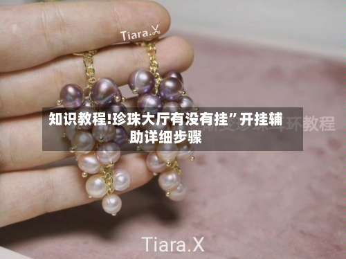 知识教程!珍珠大厅有没有挂	”开挂辅助详细步骤-第2张图片