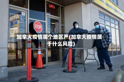 加拿大疫情哪个地区严(加拿大疫情属于什么风险)-第2张图片