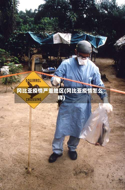 冈比亚疫情严重地区(冈比亚疫情怎么样)-第1张图片