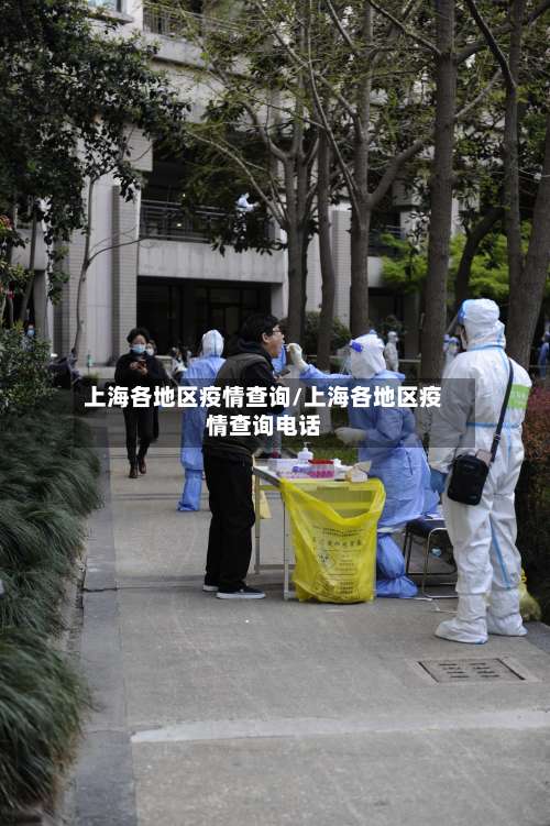 上海各地区疫情查询/上海各地区疫情查询电话-第2张图片