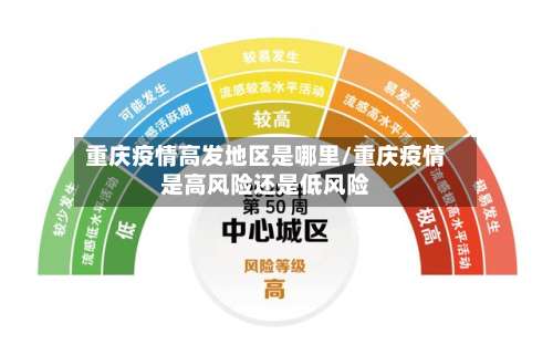 重庆疫情高发地区是哪里/重庆疫情是高风险还是低风险-第2张图片