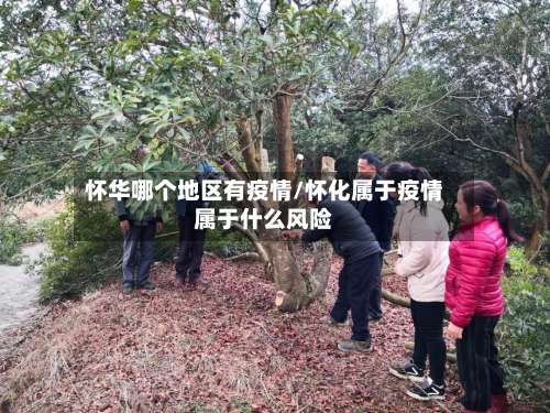 怀华哪个地区有疫情/怀化属于疫情属于什么风险-第1张图片