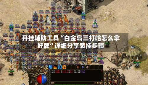 开挂辅助工具“白金岛三打哈怎么拿好牌	”详细分享装挂步骤-第1张图片