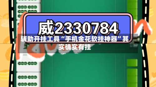 辅助开挂工具“手机金花软挂神器”其实确实有挂-第2张图片