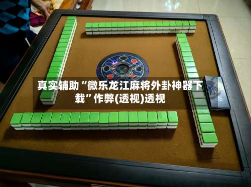真实辅助“微乐龙江麻将外卦神器下载”作弊(透视)透视-第2张图片