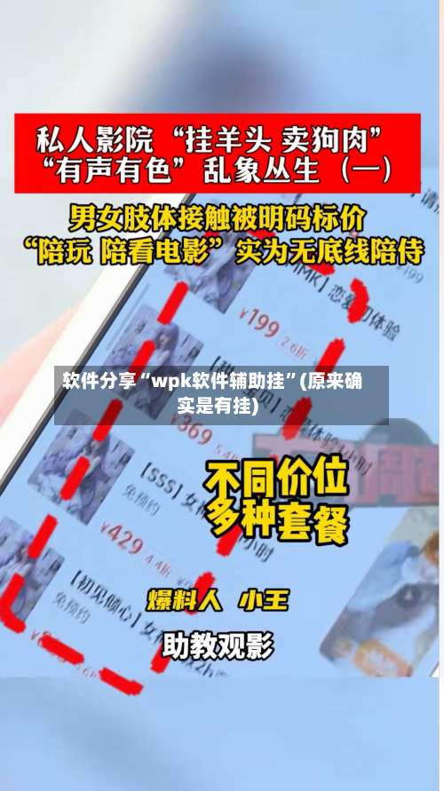 软件分享“wpk软件辅助挂”(原来确实是有挂)-第2张图片