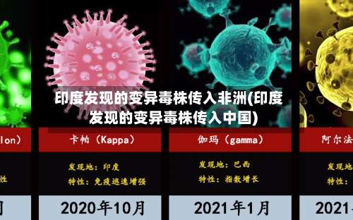 印度发现的变异毒株传入非洲(印度发现的变异毒株传入中国)-第1张图片