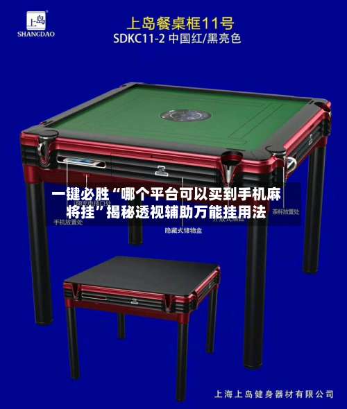 一键必胜“哪个平台可以买到手机麻将挂”揭秘透视辅助万能挂用法-第3张图片