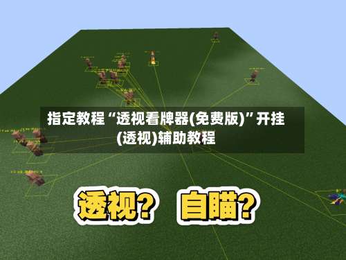 指定教程“透视看牌器(免费版)	”开挂(透视)辅助教程-第1张图片