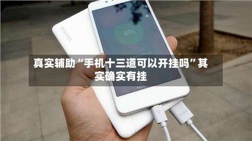 真实辅助“手机十三道可以开挂吗”其实确实有挂-第3张图片