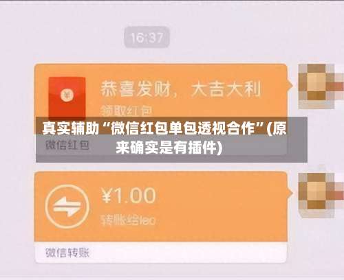 真实辅助“微信红包单包透视合作”(原来确实是有插件)-第1张图片
