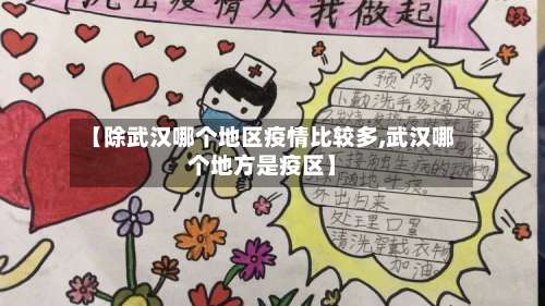 【除武汉哪个地区疫情比较多,武汉哪个地方是疫区】-第1张图片