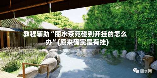 教程辅助“丽水茶苑碰到开挂的怎么办	”(原来确实是有挂)-第1张图片