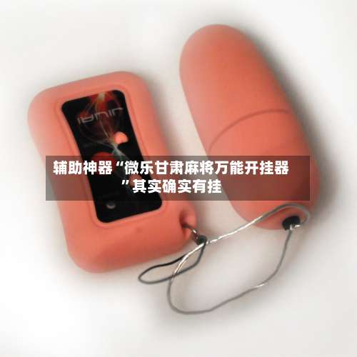 辅助神器“微乐甘肃麻将万能开挂器”其实确实有挂-第3张图片