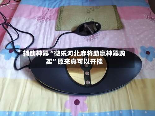 辅助神器“微乐河北麻将助赢神器购买	”原来真可以开挂-第2张图片