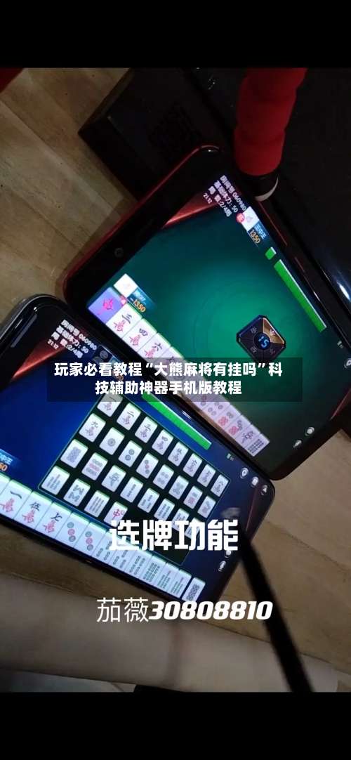 玩家必看教程“大熊麻将有挂吗	”科技辅助神器手机版教程-第2张图片
