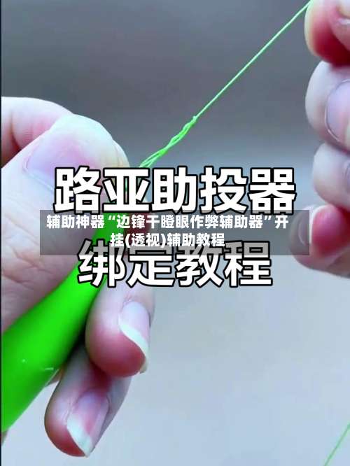 辅助神器“边锋干瞪眼作弊辅助器”开挂(透视)辅助教程-第1张图片