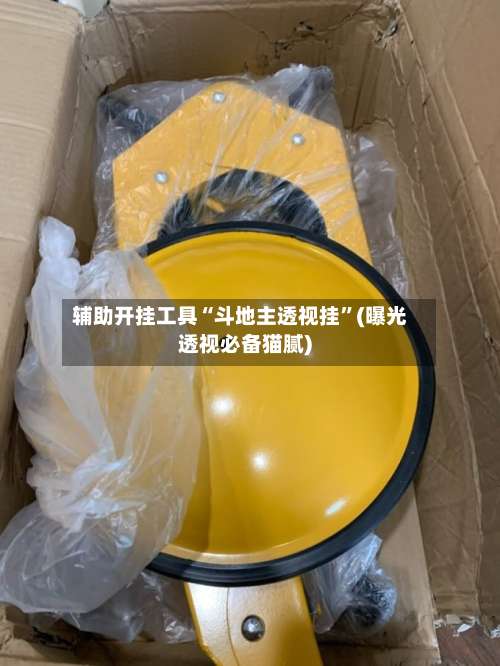 辅助开挂工具“斗地主透视挂”(曝光透视必备猫腻)-第1张图片
