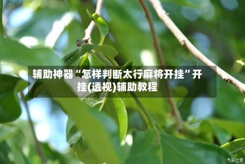 辅助神器“怎样判断太行麻将开挂”开挂(透视)辅助教程-第1张图片