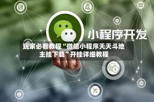 玩家必看教程“微信小程序天天斗地主挂下载”开挂详细教程-第3张图片